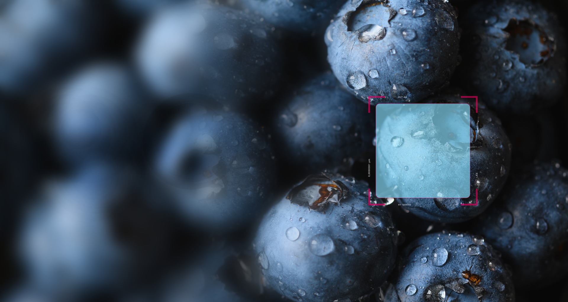 Blaubeeren mit Wassertröpchen liegen beisammen
