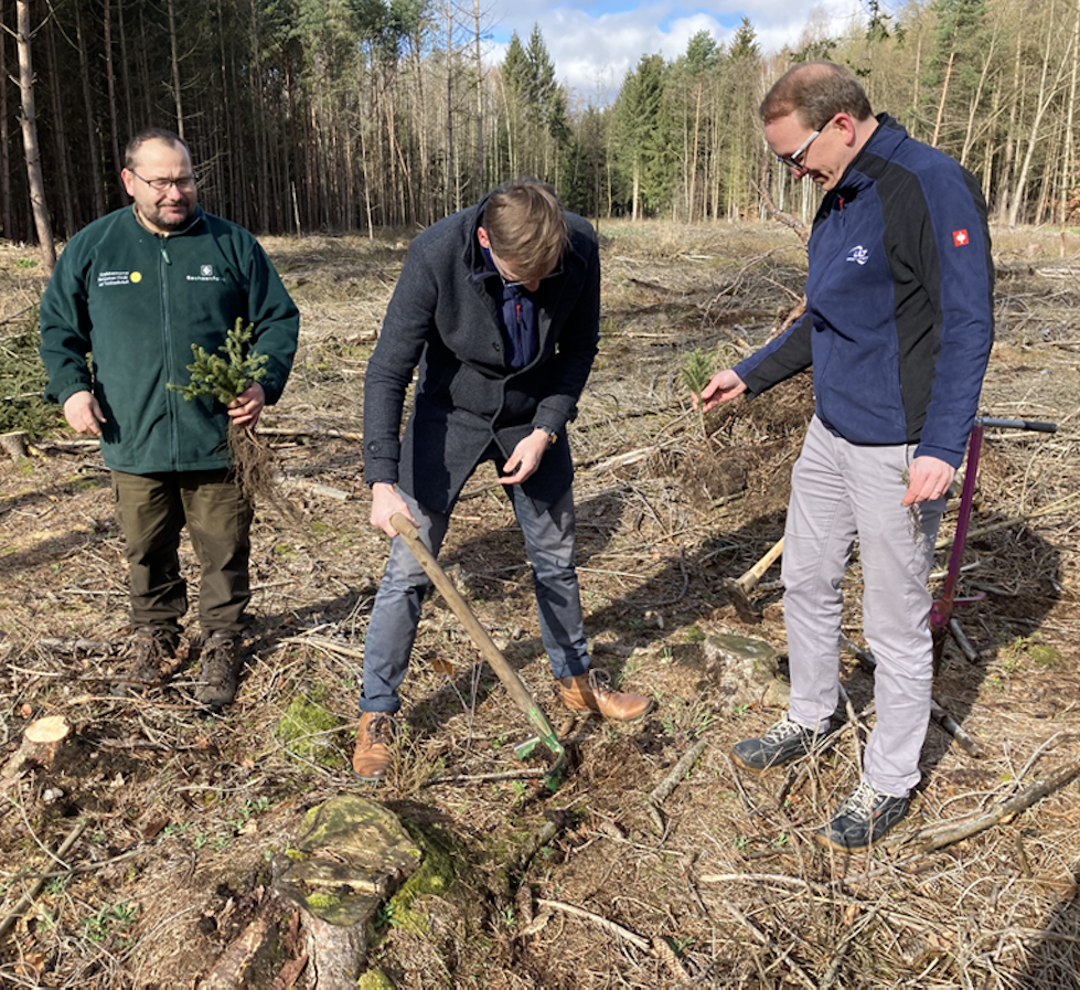 Three men are looking down while planting a baby tree