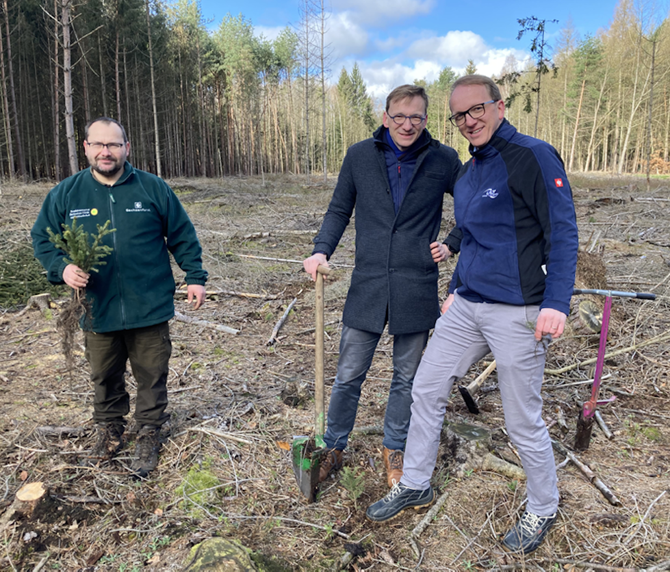 Three men are planting trees