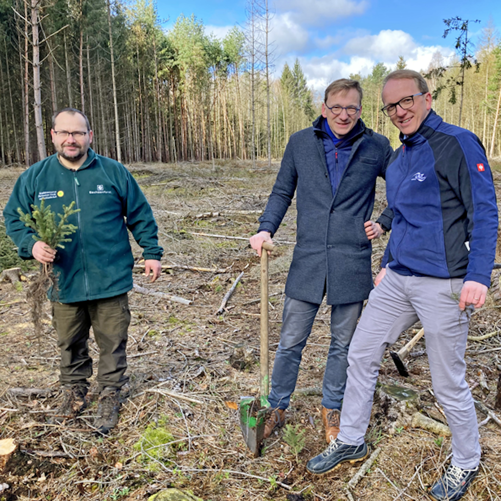 Drei Männer pflanzen kleine Bäume und schauen in die Kamera