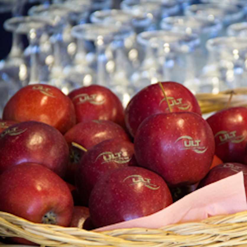 Gelaserte rote ULT-Äpfel beim Symposium in einen Korb
